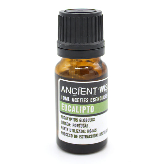 Ätherisches Eukalyptusöl. 50 ml